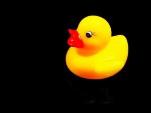 rubber duck