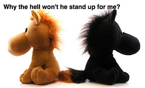 soft toys back to back with why won't he stand up for me?