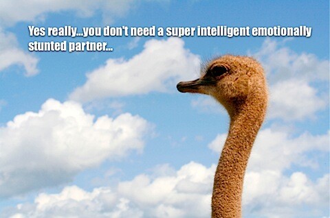 ostrich and emotional intellgence