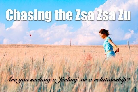 are you chasing the zsa zsa zu