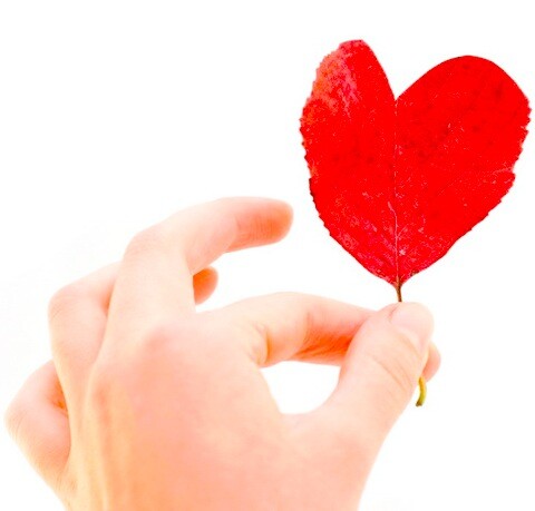 person holding a love leaf