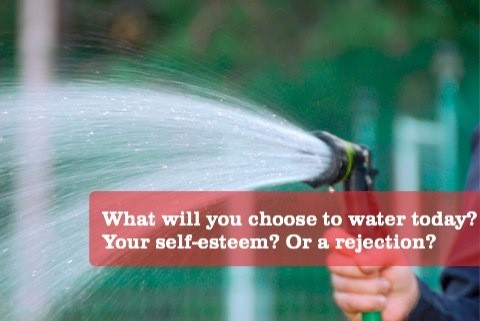 what will you choose to water today? Your self-esteem? Or a rejection?