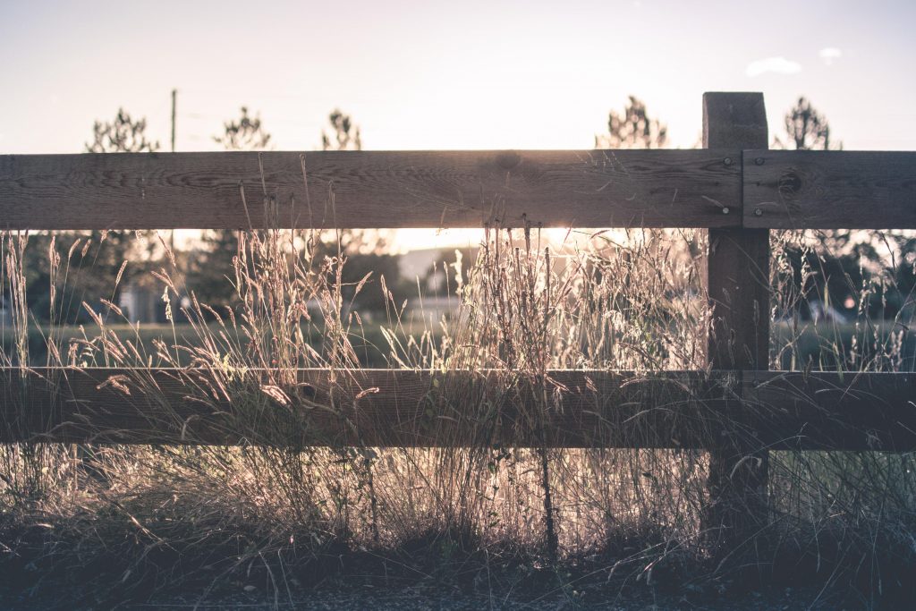 On the fence. 30 Signs of Disinterest. Photo by Nick Tiemeyer on Unsplash