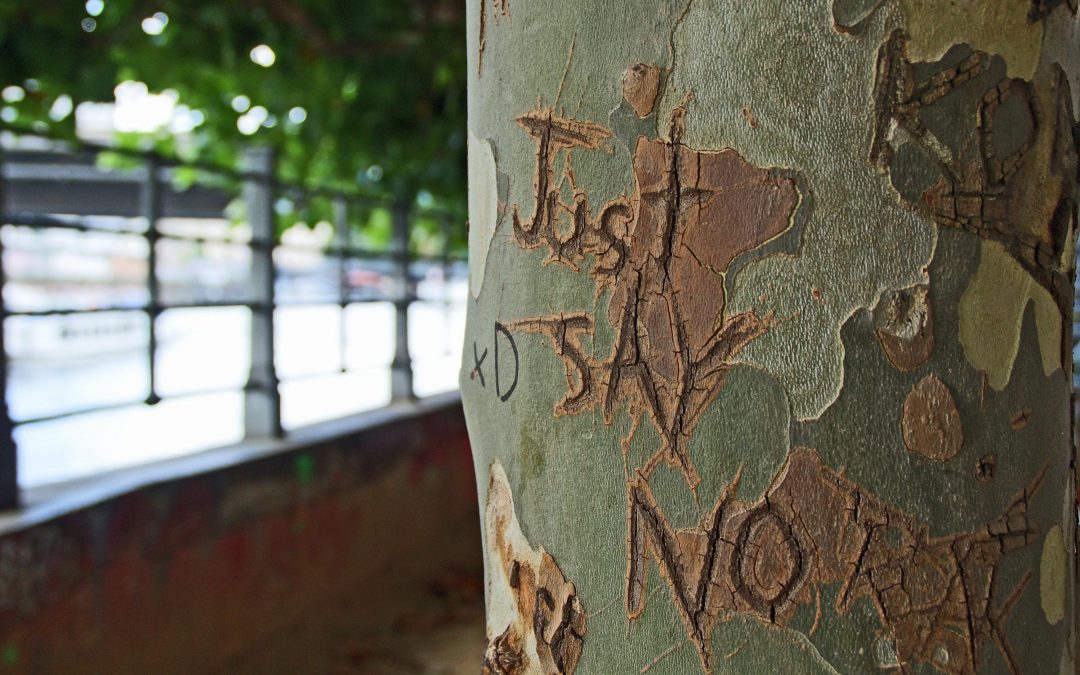 Tree with 'just say no' carved into it. Photo by Andy Tootell on Unsplash