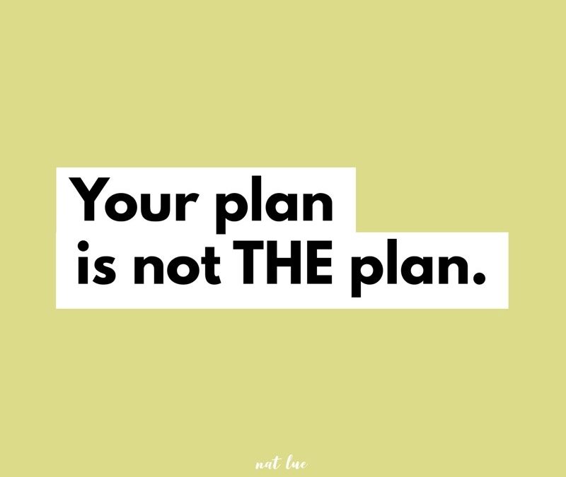 your plan is not THE plan nat lue